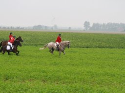 img_5958_web